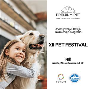 DRUGI PET FESTIVAL NIŠ