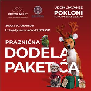 POKLONI, UDOMLJAVANJE, DODELA PAKETIĆA, FOTOGRAFISANJE
