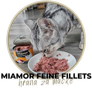 HRANA ZA MAČKE: Miamor Feine Fillets