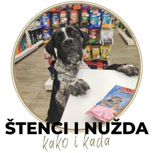 Kako naučiti štene da vrši nuždu napolju?