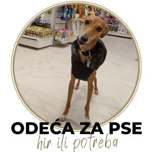 ODEĆA ZA PSE