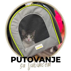 Putovanje sa kućnim ljubimcem – pravila i dokumenti