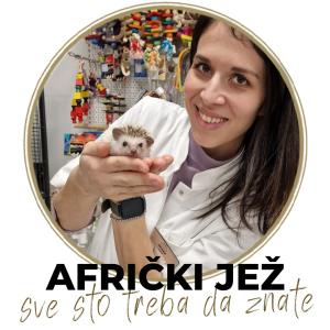 Sve što treba da znate o afričkom ježu!